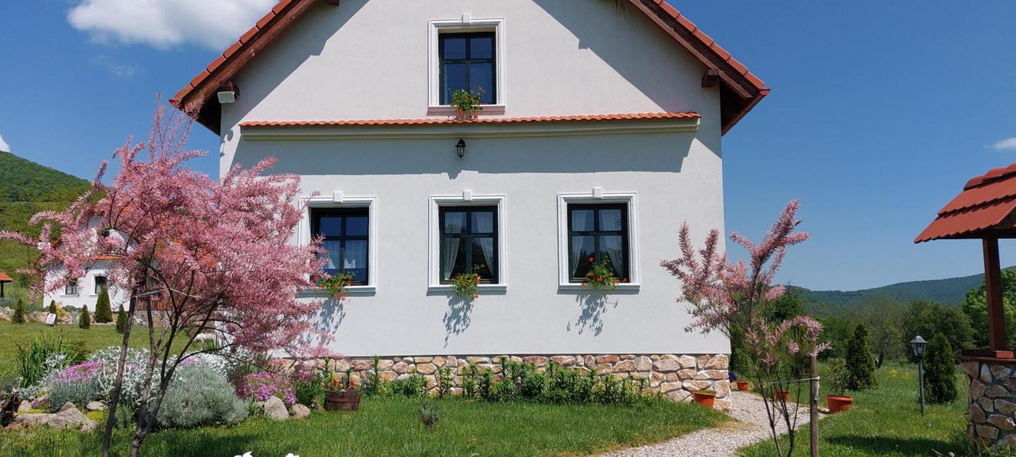 Pensiunea Kiralylany Vendeghaz Rimetea Εξωτερικό φωτογραφία